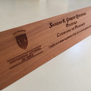 Porta Nombre de Escritorio
