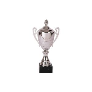 COPA 3012