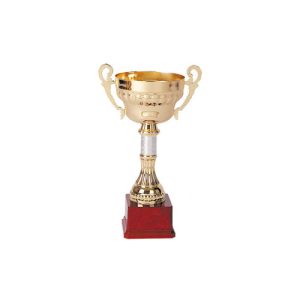 COPA 866