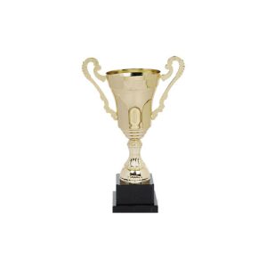 COPA CY2025