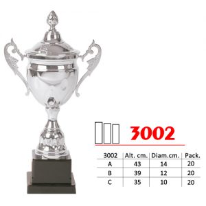 Copa modelo 3002