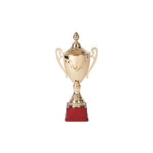 Copa 3007