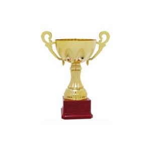 COPA C 6